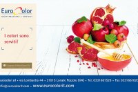 Plast Magazine - Hector 2017