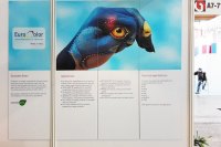 IMG_20151012_171426